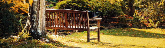 Alma Park Gysenbergpark Emscherland Ruhrgebiet