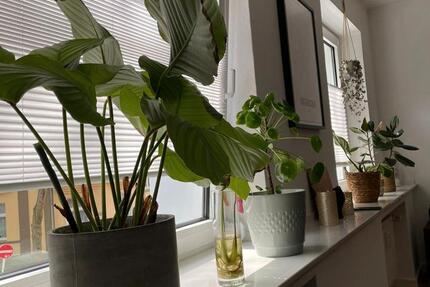 Wohnung Essen Stadtbezirk II - 3.5 Zimmer, 85 m&sup2;, 355.000&euro; | Angebot:26967131