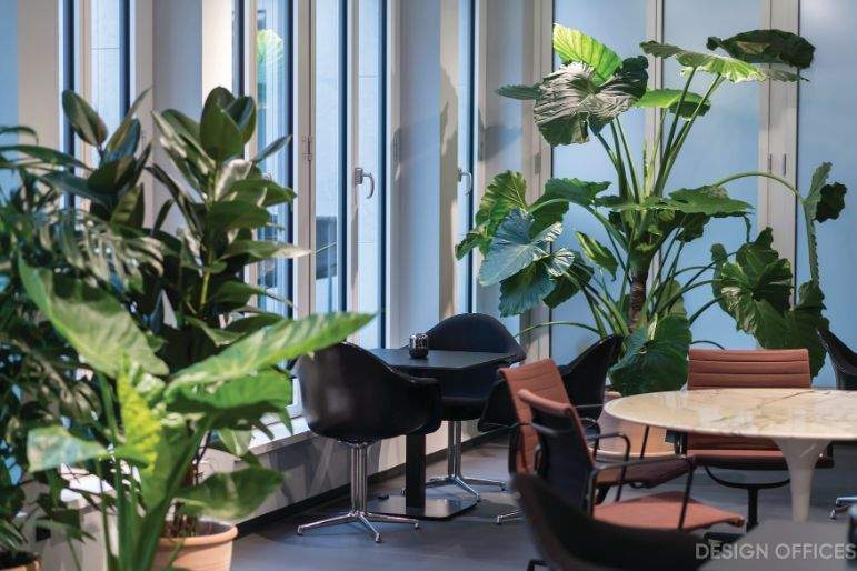 Gewerbeobjekt Essen Südviertel - 1.200&euro; | Angebot:25803790