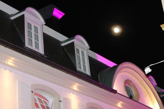RE Zentrum, das " Wulffsche Haus