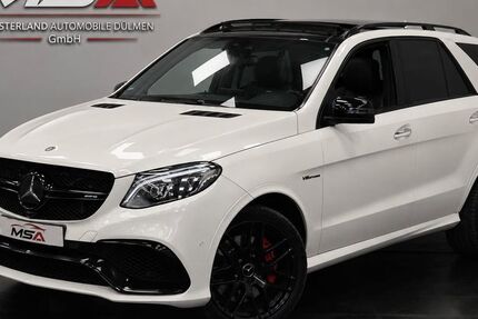 Mercedes-Benz Andere 180.900 km 39.500 &euro; Dülmen 48249