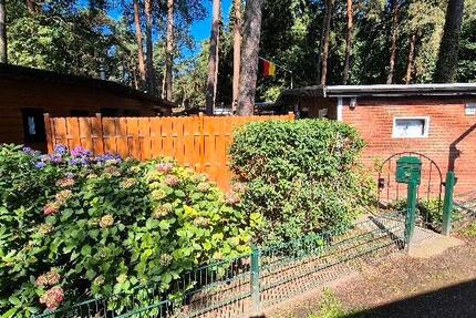 Haus Olfen - 3 Zimmer, 55 m&sup2;, 97.000&euro; | Angebot:26939727