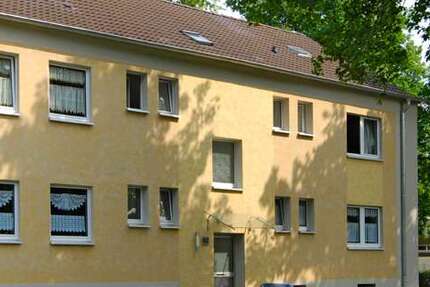 Wohnung Recklinghausen Grullbad - 3 Zimmer, 49 m&sup2;, 252&euro; | Angebot:27703191