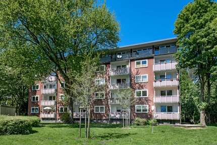 Wohnung Gelsenkirchen Hassel - 3 Zimmer, 63 m&sup2;, 439&euro; | Angebot:27723066