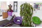 Gewerbeobjekt Marl Hüls - 255&euro; | Angebot:25864114