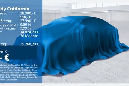 VW Caddy 110.322 km 28.980 &euro; Recklinghausen 45663