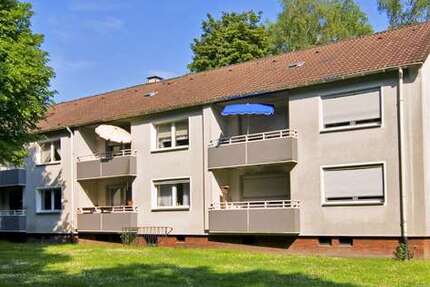 Wohnung Gelsenkirchen Resser Mark - 3 Zimmer, 59 m&sup2;, 459&euro; | Angebot:27723143