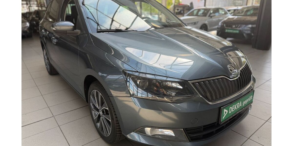 Skoda Fabia 248.000 km 5.290 &euro; Bottrop 46238