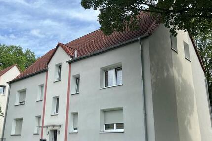 Wohnung Essen Stadtbezirk V - 2.5 Zimmer, 50 m&sup2;, 519&euro; | Angebot:26463898