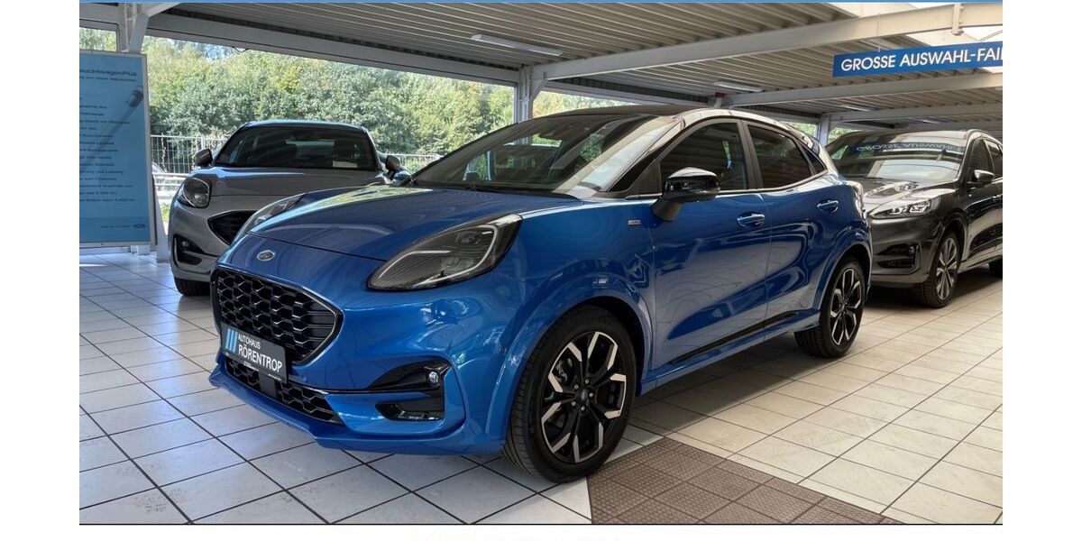 Ford Puma 45.584 km 18.474 &euro; Borken 46325