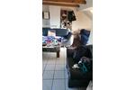 Dachgeschoßwohnung Bochum Günnigfeld - 1 Zimmer, 42 m&sup2;, 400&euro; | Angebot:26237045