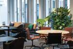Gewerbeobjekt Essen Südviertel - 1.200&euro; | Angebot:25803790