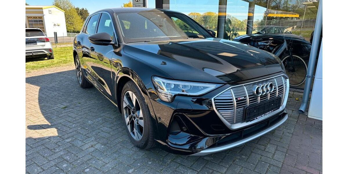 Audi e-tron 32.148 km 33.990 &euro; Reken 48734