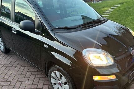 Fiat Panda 94.785 km 4.100 &euro; Reken 48734
