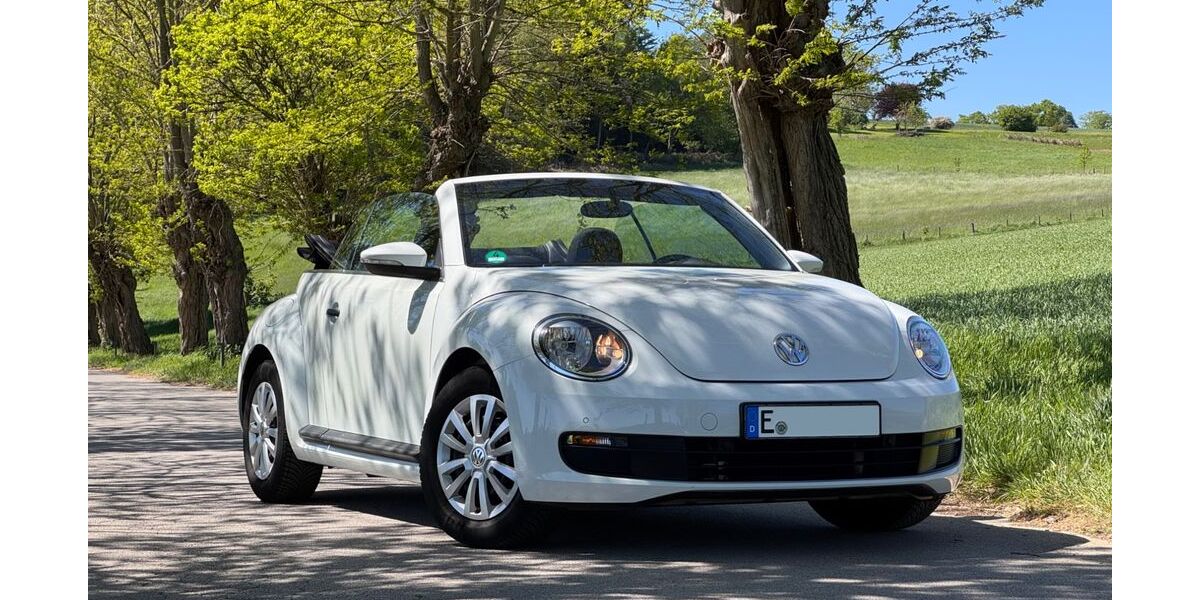 VW Beetle 61.000 km 11.490 &euro; Essen 45149