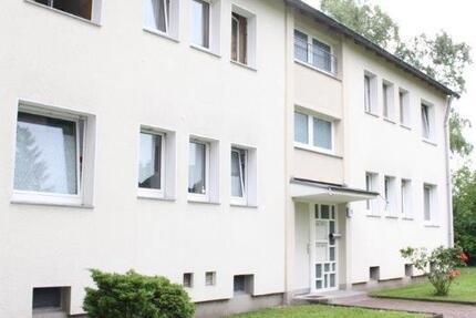 Wohnung Mülheim an der Ruhr Mellinghofen - 3.5 Zimmer, 65 m&sup2;, 607&euro; | Angebot:26449949