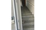 Etagenwohnung Oer-Erkenschwick Erkenschwick - 5 Zimmer, 105 m&sup2;, 1.100&euro; | Angebot:27566238