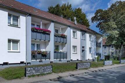Wohnung Herten Paschenberg - 3.5 Zimmer, 64 m&sup2;, 539&euro; | Angebot:26551321