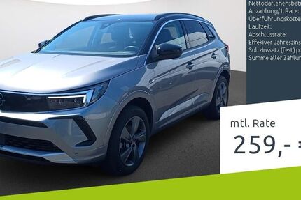 Opel Grandland (X) 14.891 km 21.880 &euro; Borken 46325