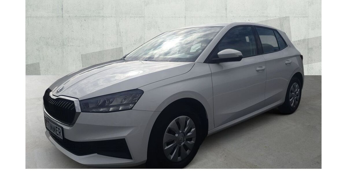 Skoda Fabia 48.598 km 14.240 &euro; Borken 46325