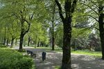 Provisionsfrei* Top Geschäftshaus direkt am Stadtgarten - Essen Südviertel - Gewerbeobjekt Essen Südviertel | Angebot:26977328