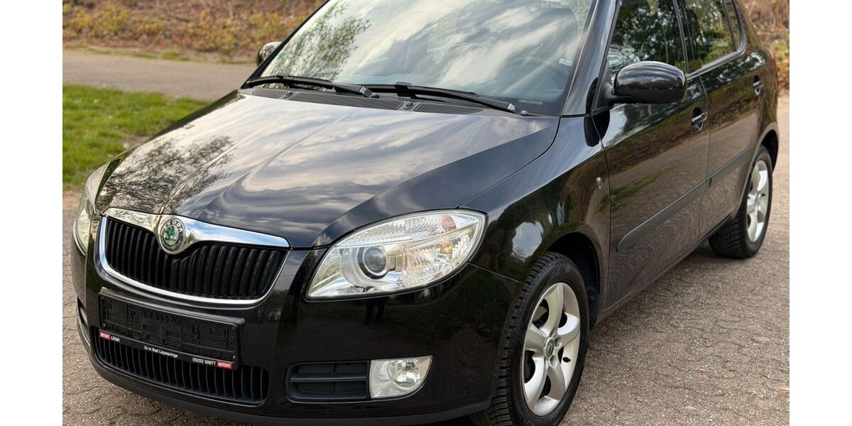 Skoda Fabia 153.300 km 2.799 &euro; Oberhausen 46045