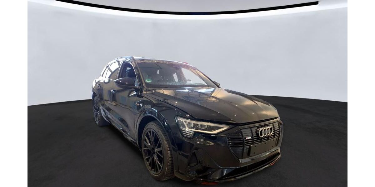 Audi e-tron 35.652 km 38.890 &euro; Reken 48734