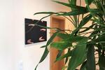 Gewerbeobjekt Mülheim an der Ruhr - 30&euro; | Angebot:25257072