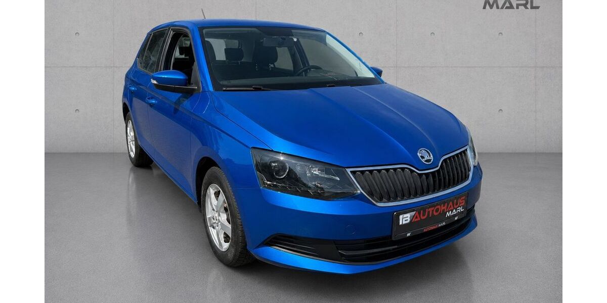 Skoda Fabia 72.800 km 8.990 &euro; Marl 45772